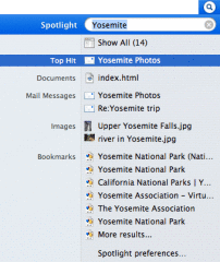 Google Importer screenshot