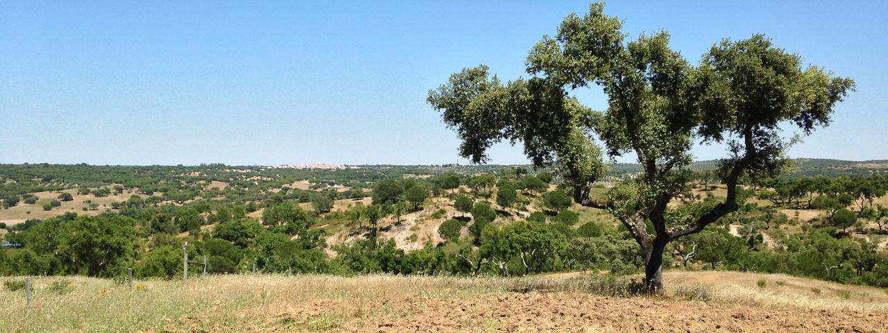 alentejo window view