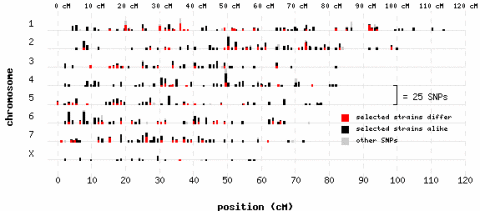 Plot example 1
