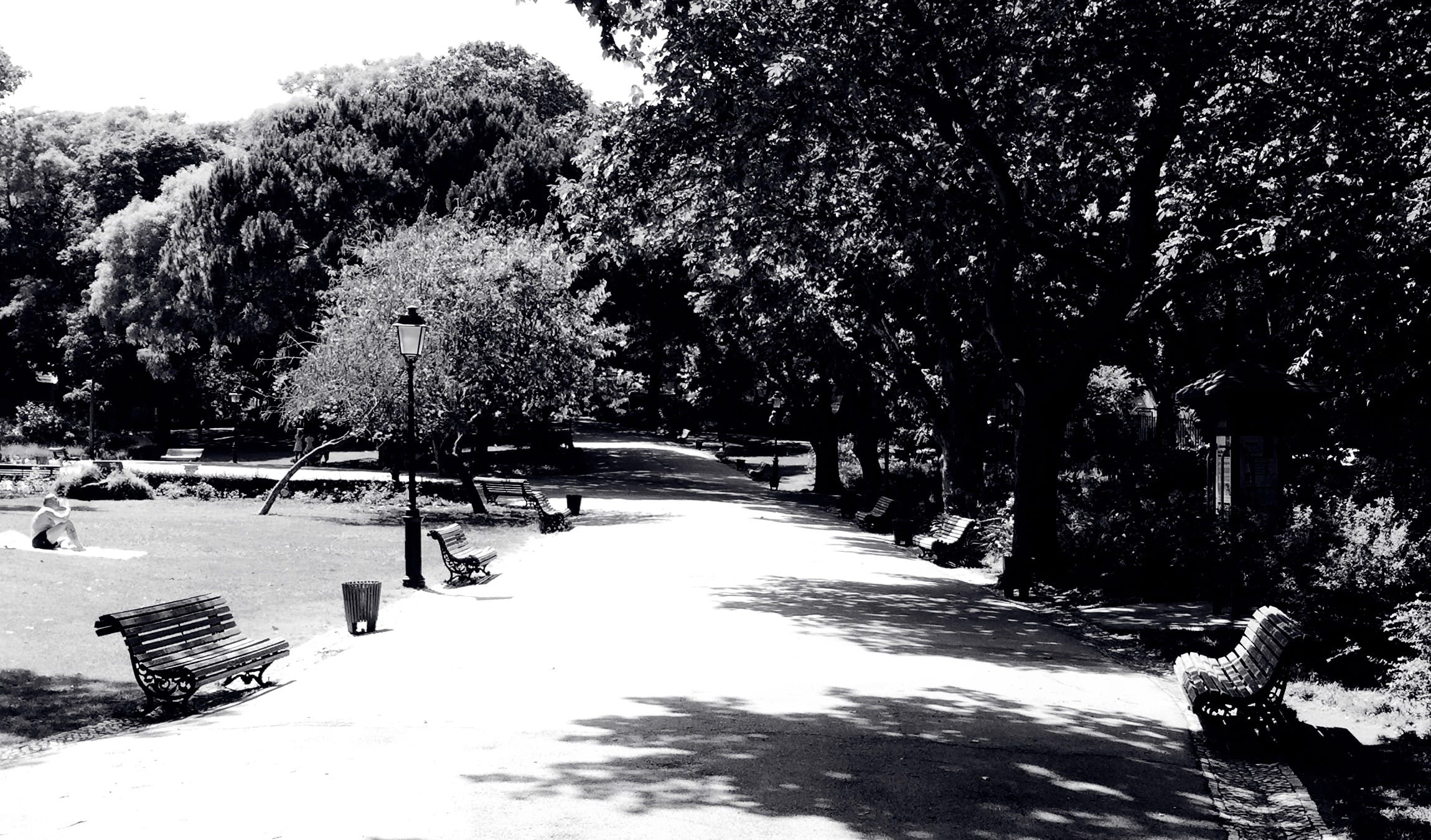 a black and white photo of a wide path through a garden