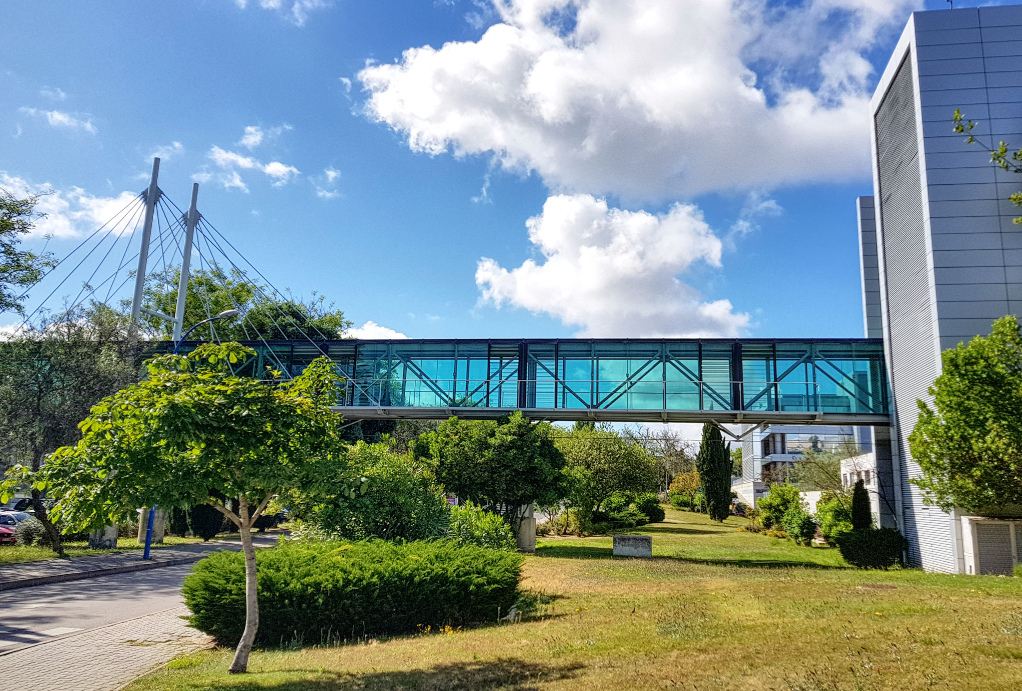 a glass walkway connecting two buildings over the road