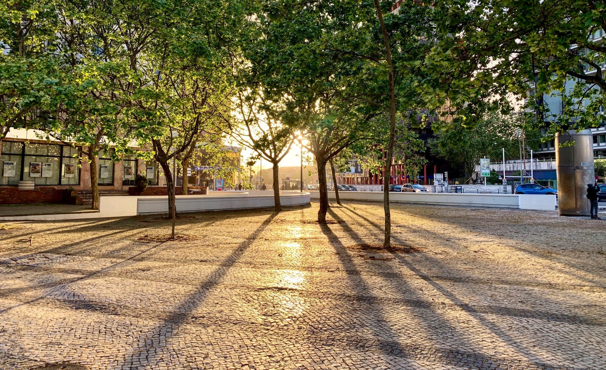 A glimpse of the sunset through some trees